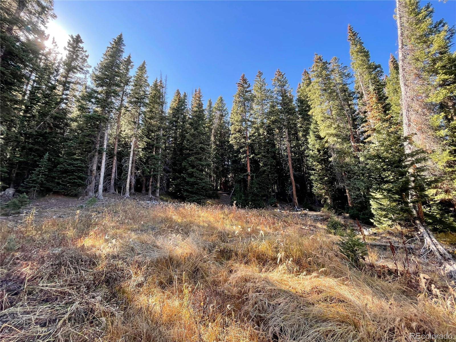 11 Kimmes LN, Breckenridge, CO 80424