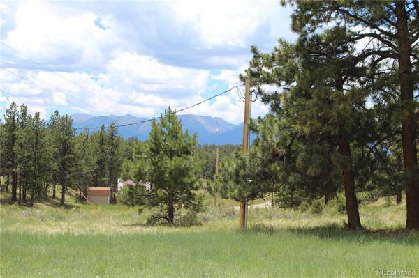 Westcliffe, CO 81252,19 Good Hope DR