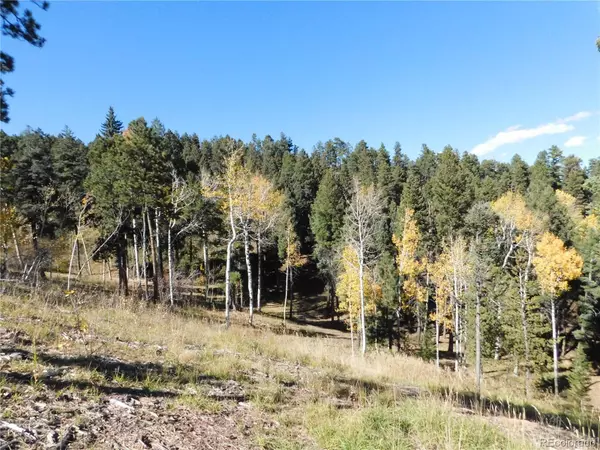 Larkspur, CO 80118,13886 Boulder LN