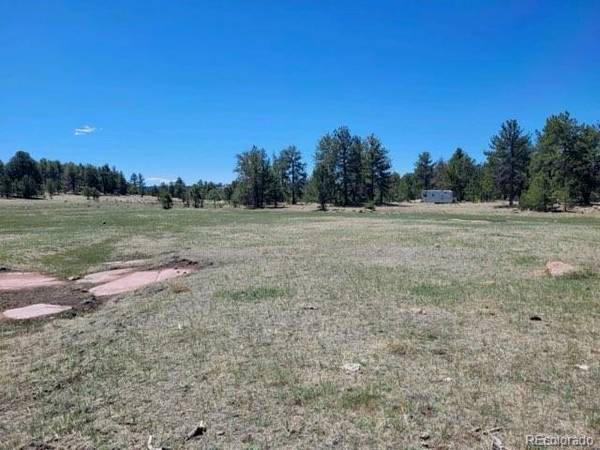 495 Ring RD, Guffey, CO 80820