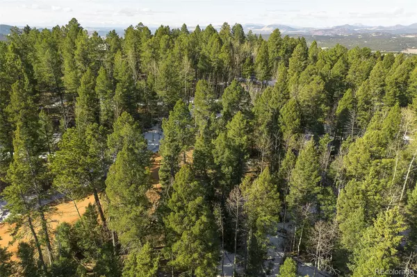 Florissant, CO 80816,2763 N Mountain Estates RD