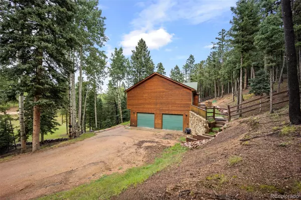 Woodland Park, CO 80863,256 Winding Valley DR