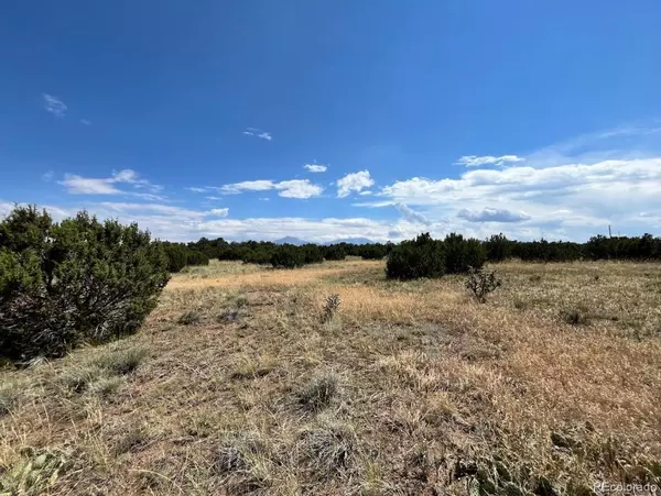 Walsenburg, CO 81089,Buffalo DR