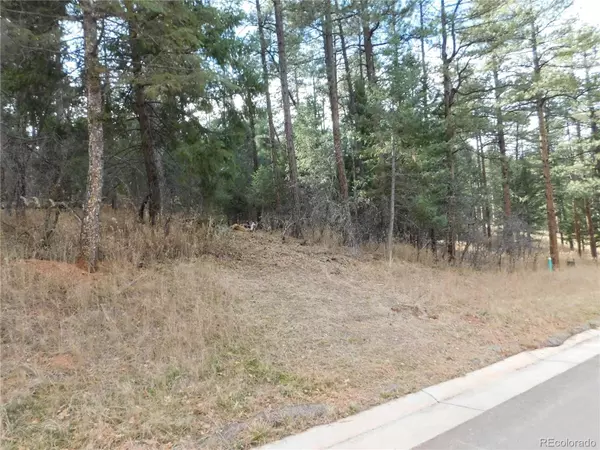 Larkspur, CO 80118,8139 Bannock DR