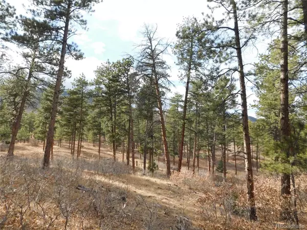 Larkspur, CO 80118,8139 Bannock DR