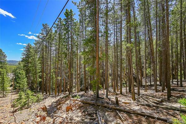 Evergreen, CO 80439,0 Crowfoot LN