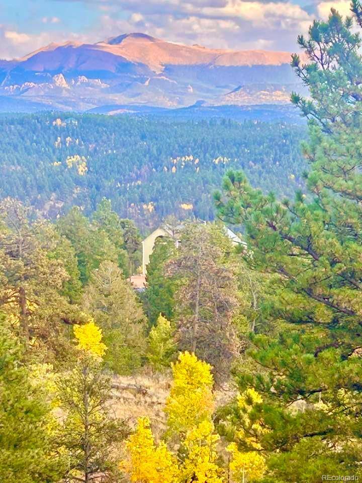 Florissant, CO 80816,361 Crystal Peak RD