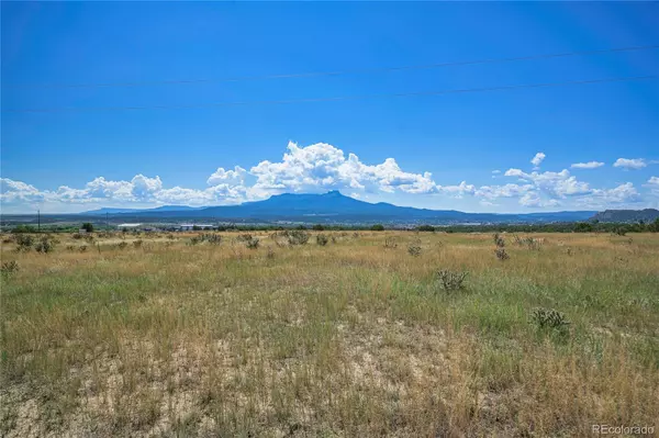 Trinidad, CO 81082,15308 County Road 71.1