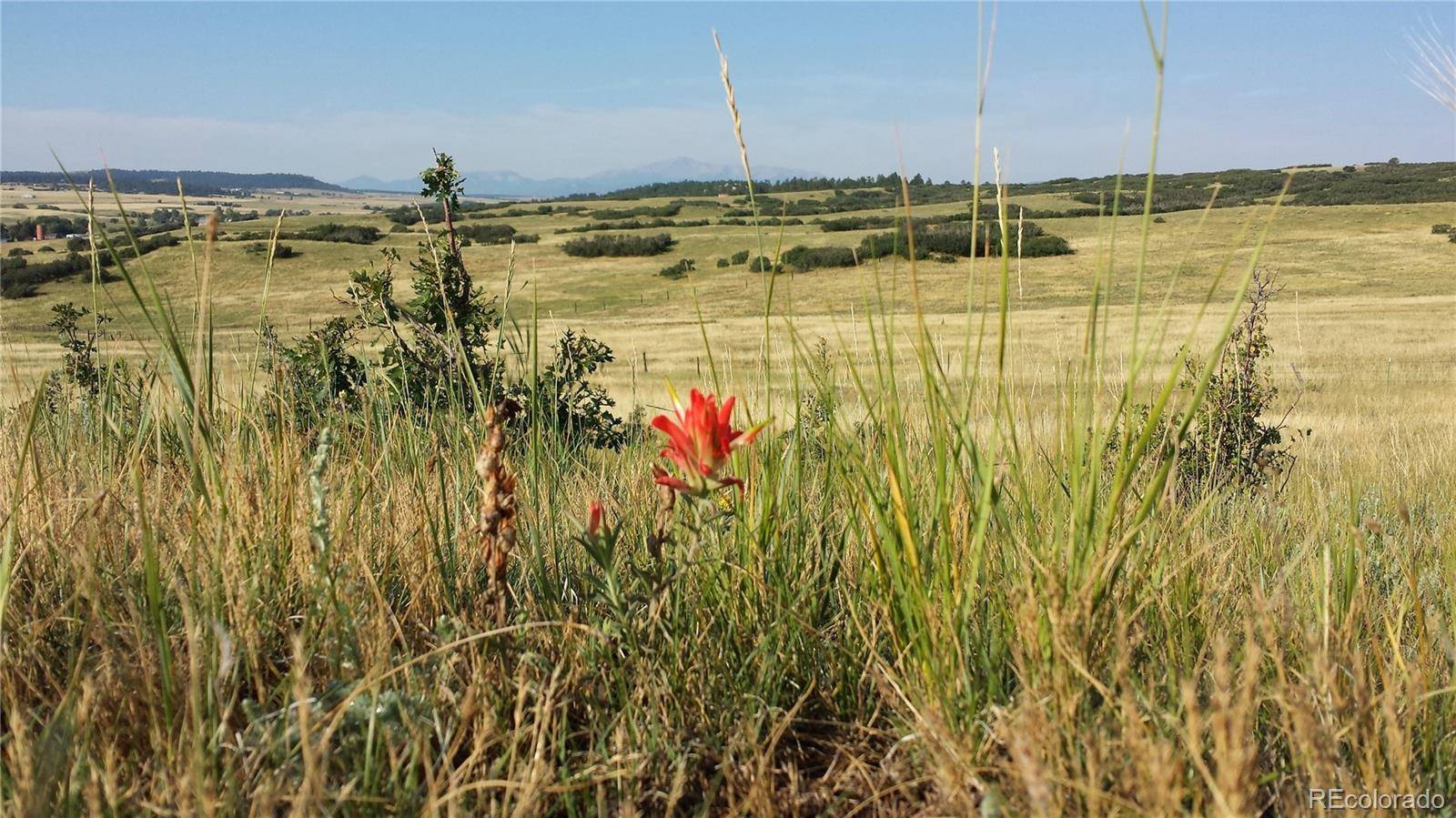 Franktown, CO 80116,TBD S State Highway 83