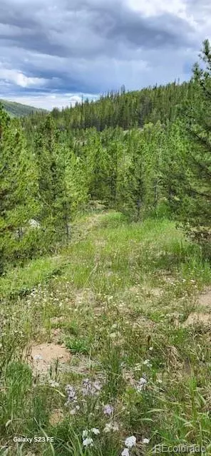 000 Alice RD, Idaho Springs, CO 80452