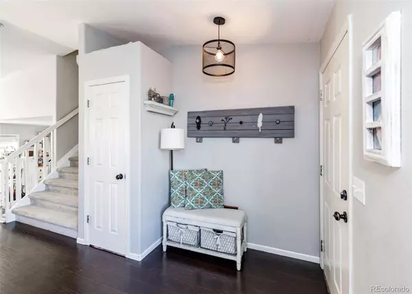 Castle Rock, CO 80104,343 Chelsea ST