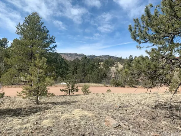 Florissant, CO 80816,173 Crescent DR