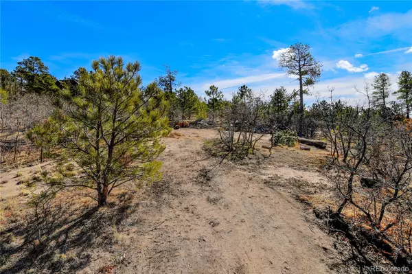 Monument, CO 80132,19403 Wildwood WAY