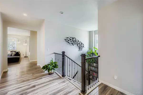 Monument, CO 80132,1621 Lazy Cat LN