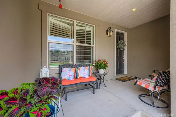 Monument, CO 80132,1621 Lazy Cat LN