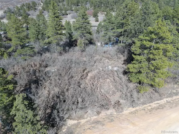 Larkspur, CO 80118,2137 Senecio DR