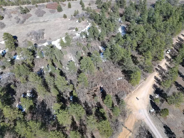 Larkspur, CO 80118,2137 Senecio DR