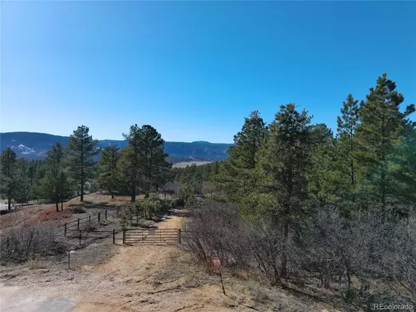 Larkspur, CO 80118,2137 Senecio DR