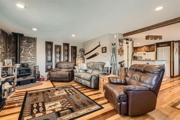 Bailey, CO 80421,27 Spruce TRL