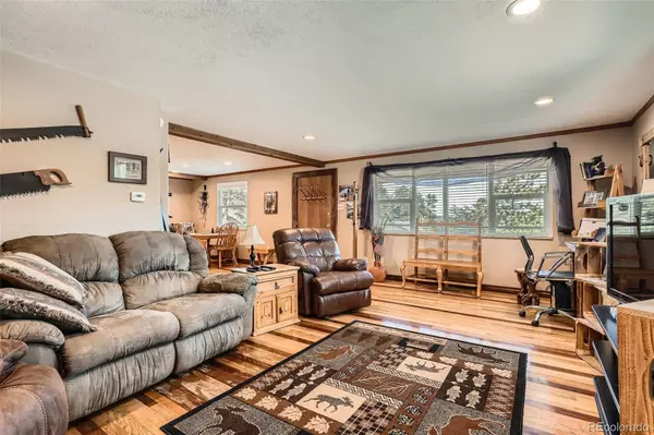 Bailey, CO 80421,27 Spruce TRL