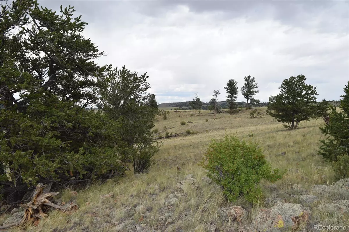 Hartsel, CO 80449,77 Kames CIR