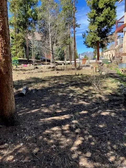 Fraser, CO 80442,870 Ferret LN