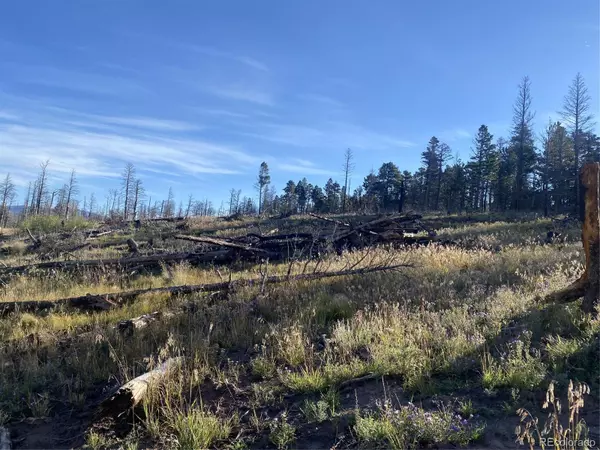 Fort Garland, CO 81133,2283 Wohlstetter LOOP