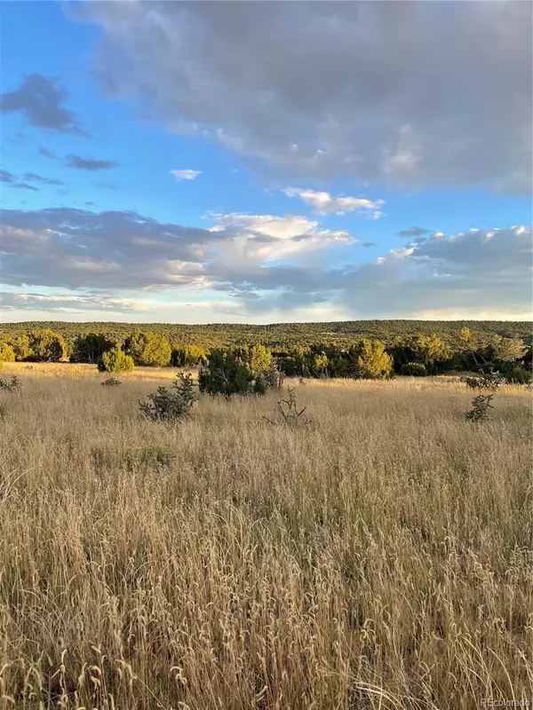 Walsenburg, CO 81089,L3 B5 Tres Amigos TRL