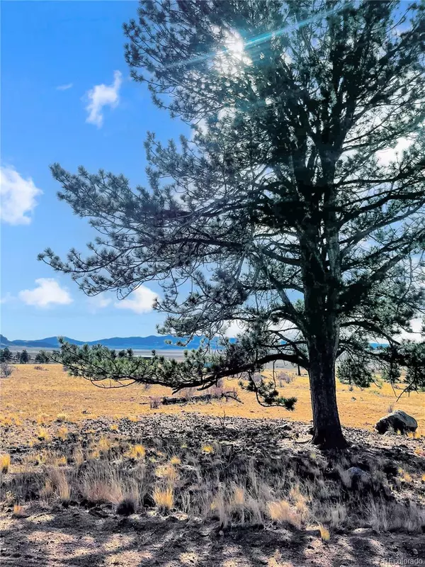 Lake George, CO 80827,1975 Garfield RD