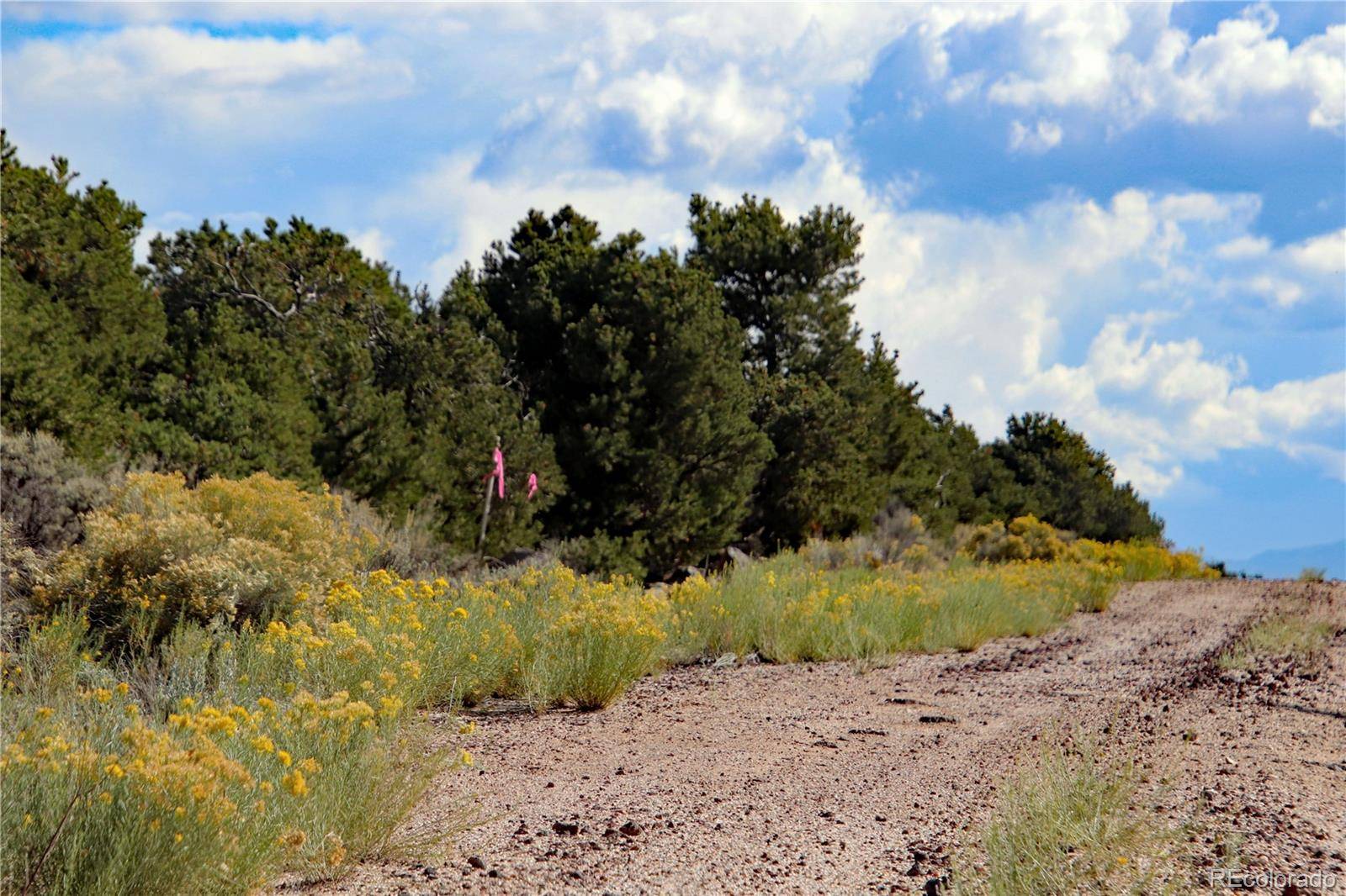 San Luis, CO 81152,Lot 13 N Melby Ranch RD