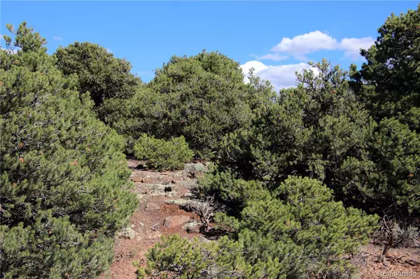 San Luis, CO 81152,Lot 13 N Melby Ranch RD