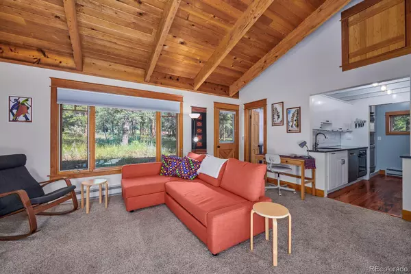 Nederland, CO 80466,131 Ponderosa WAY