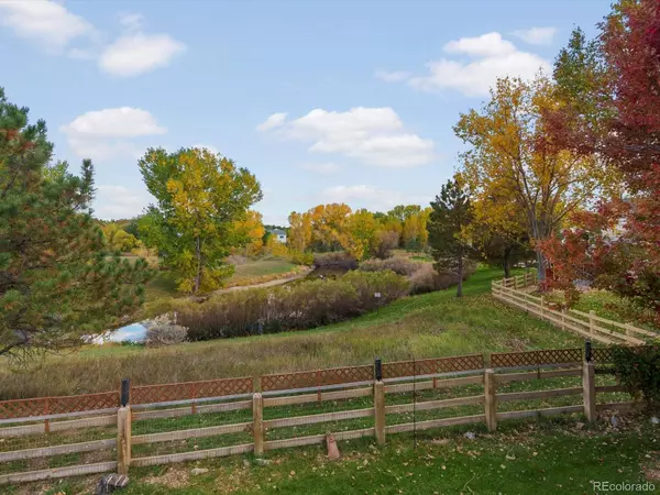 Parker, CO 80138,11710 Meadowood LN