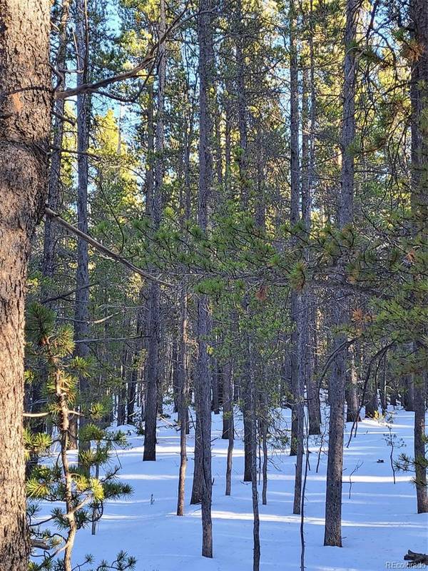 Idaho Springs, CO 80452,Silver Creek Lot 928