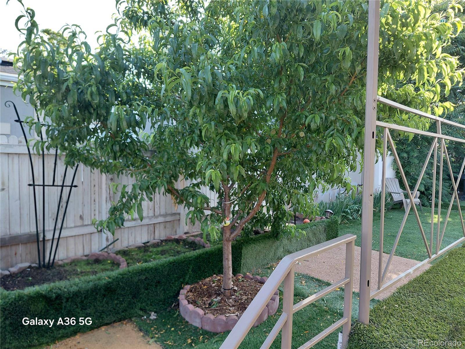 Federal Heights, CO 80260,9760 Peacock ST
