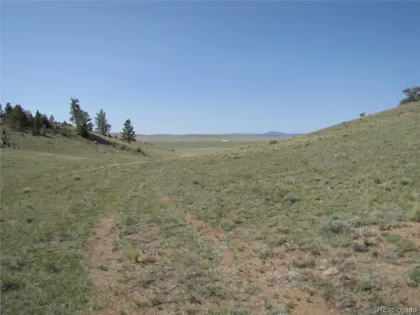 Hartsel, CO 80449,792 Kinkehee TRL