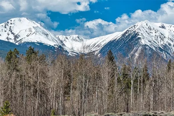 Twin Lakes, CO 81251,5310 County Road 10