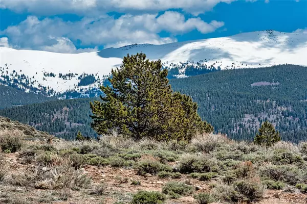 Twin Lakes, CO 81251,5310 County Road 10