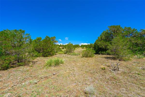 lot 383 Rio Cucharas phs2, Walsenburg, CO 81089