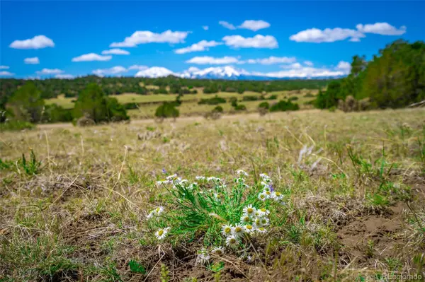 Walsenburg, CO 81089,lot 383 Rio Cucharas phs2