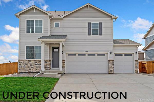 2127 Gelbvieh, Mead, CO 80542