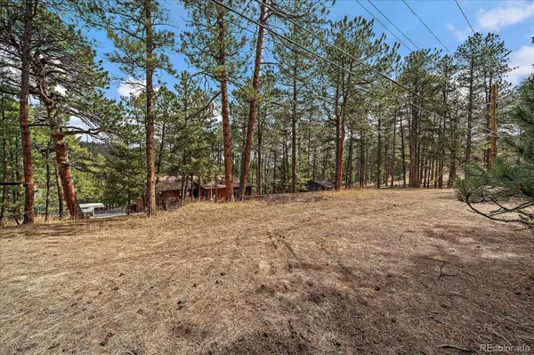 Evergreen, CO 80439,28630 Pine DR