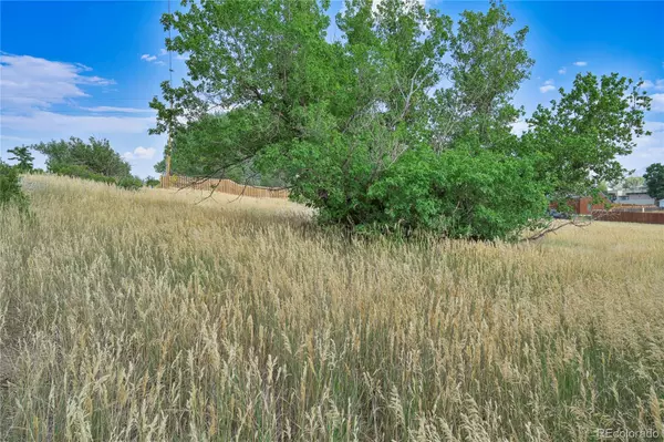 La Veta, CO 81055,High ST