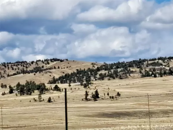 Hartsel, CO 80449,00 Cochiti RD