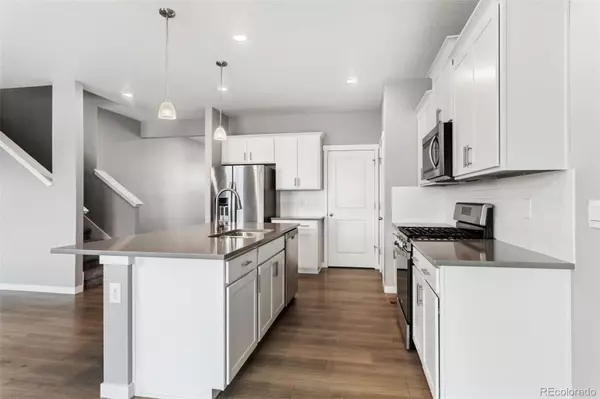 Castle Rock, CO 80104,2248 Rosette LN