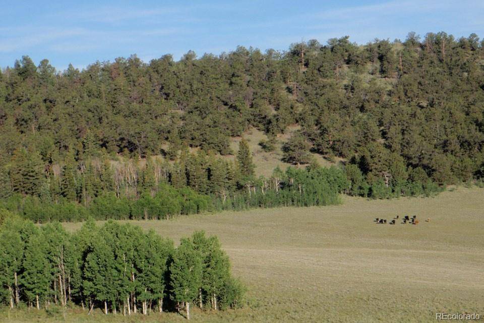Fairplay, CO 80440,1185 County Road 734