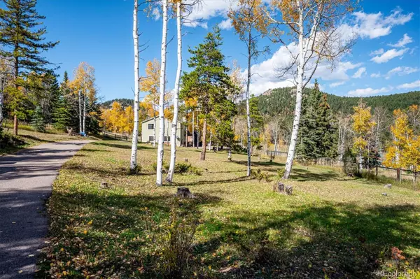 Conifer, CO 80433,12369 Quartz SPUR