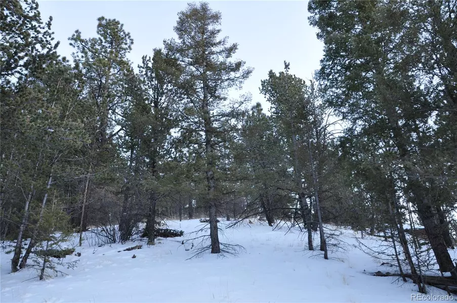 513 Last Dollar DR, Cripple Creek, CO 80813