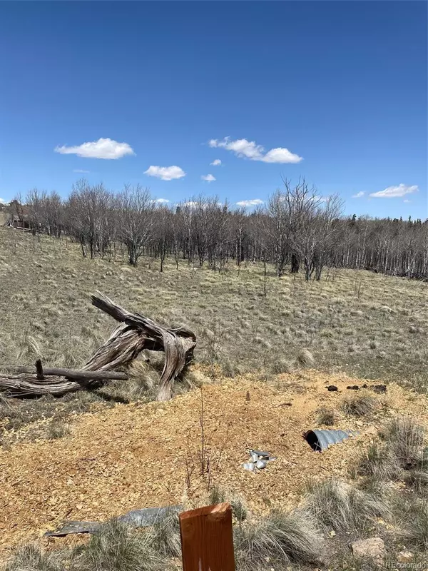 Como, CO 80432,83 Pelican PL
