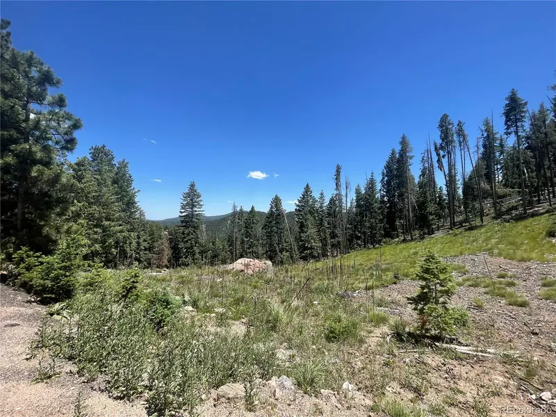 32634 Lodge Pole CIR, Evergreen, CO 80439